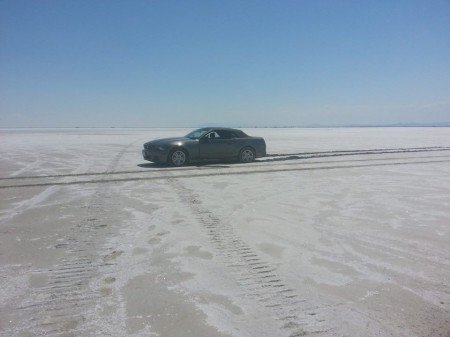 strandedstang